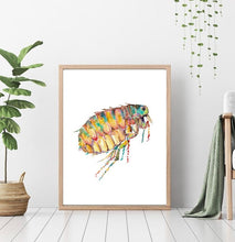 Load image into Gallery viewer, NATURAL BUG OFF